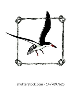 Vector emblem of hand drawn flying black skimmer in rope wreath. Ink drawing, beautiful animal and nautical design elements.