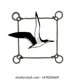 Vector emblem of hand drawn flying black skimmer in rope wreath. Ink drawing, beautiful animal and nautical design elements.