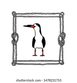 Vector emblem of hand drawn flying black skimmer in rope wreath. Ink drawing, beautiful animal and nautical design elements.