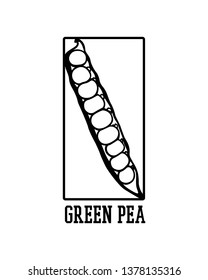 Vector emblem of hand drawn green pea pod made with pen and ink in solid frame. Beautiful food design elements