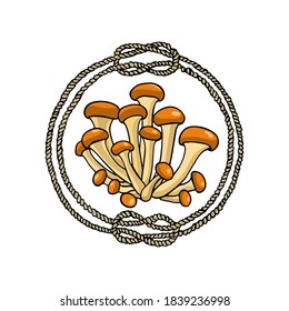 Vector emblem with hand drawn honey mushrooms in nautical rope frame. Ink drawing, graphic style. Beautiful design elements.