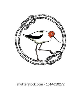 Vector emblem of hand drawn Red-necked Avocet in rope wreath. Ink drawing, beautiful animal and nautical design elements.