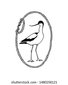 Vector emblem of hand drawn standing avocet in rope wreath. Ink drawing, beautiful animal and nautical design elements.
