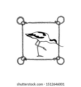 Vector emblem of hand drawn standing avocet in rope wreath. Ink drawing, beautiful animal and nautical design elements.