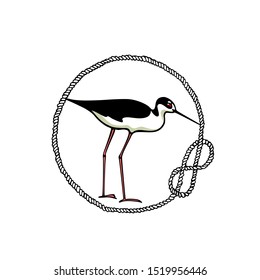 Vector emblem of hand drawn standing stilt in rope frame. Ink drawing, beautiful animal and nautical design elements.