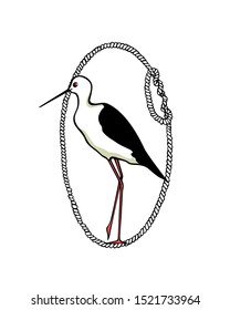 Vector emblem of hand drawn standing stilt in rope frame. Ink drawing, beautiful animal and nautical design elements.