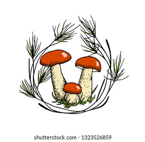 Vector emblem with hand drawn wild mushroom a in pine wreath. Ink drawing, graphic style. Beautiful design elements.