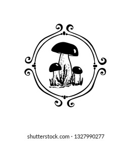 Vector emblem with hand drawn wild mushroom in vintage frame. Ink drawing, graphic style. Beautiful design elements.