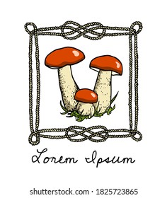 Vector emblem with hand drawn wild mushrooms in nautical rope frame. Ink drawing, graphic style. Beautiful design elements.