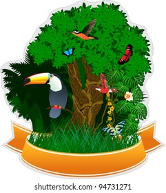 Vector Emblem with Jungle and Toucan and Hummingbirds