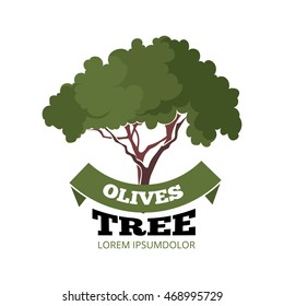 vector emblem of olives tree and green ribbon. Template for badges, emblems or label design. Illustration isolate on white background
