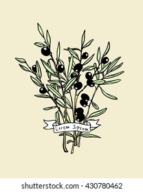 Vector emblem template with hand drawn olive branches and ribbon. Beautiful vector graphics for branding. Icons, badges and labels design.