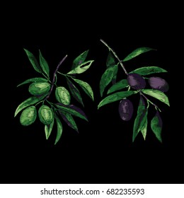Vector embroidery with olives. Fashion print.