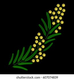 Vector Embroidery spring blossoming Mimosa branch illustrations