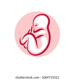 Vector embryo illustration isolated on white. New life beginning drawing.