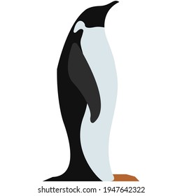 Ilustración de pingüino de emperador vectorial aislada en blanco