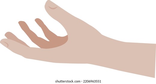 Vector de mano vacía que llega, sujeta, da, atrapa una bola, etc aislado en fondo blanco