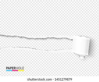 Vector empty realistic tear off paper piece curly scroll with torn hole edges and shadows on a transparent background for a sale advert blank banner revealing advertisement message.