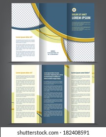 Vector empty trifold brochure print template design
