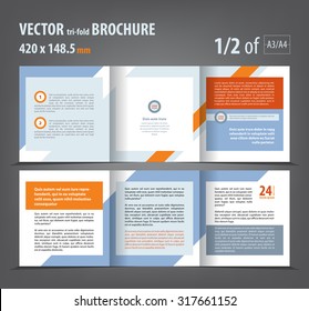 Vector empty tri-fold brochure print template design, trifold booklet or flyer