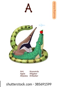 vector English Alphabet series of Amusing Animals. Cartoon illustration letter A. Ant, Anteater, Alligator, Anaconda, Apple. Clip art isolated on white background. EPS 10 without mesh