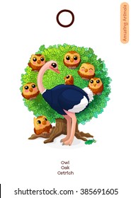 vector English Alphabet series of Amusing Animals. Cartoon illustration letter O. Owl, Ostrich, Oak. Clip art isolated on white background. EPS 10 without mesh