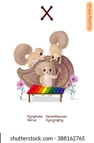 vector English Alphabet series of Amusing Animals. Cartoon illustration letter X. Xylophone, Xeranthemum, Xerus, Xylography. Clip art isolated on white background. EPS 10 without mesh