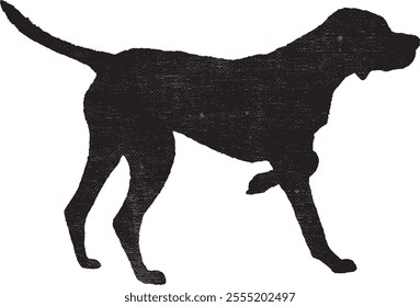 Vector English Pointer Dog with Vintage (Grunge) effect