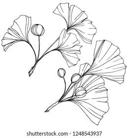 ベクター画像 白黒銀杏の葉刻 植物の植物園 白い背景にイチョウのイラストエレメント のベクター画像素材 ロイヤリティフリー