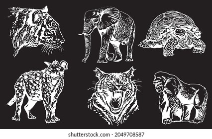 Vector engraved illustration of  African animals  isolated on black background, graphics
