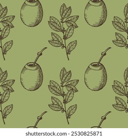 Vector engraved seamless pattern with Yerba Mate and Pumpkin Calabash. Hand drawn repeating background with mate branch, tea leaves. For label, card, wrapping, paper. Food, medical plant, hot drink