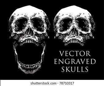 vector engraved skull set