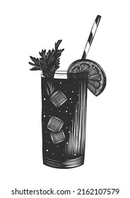 Vector engraved style Bloody Mary alcoholic cocktail illustration for posters, decoration, menu and print. Hand drawn sketch of beverage, drink. Detailed drawing isolated on white background.