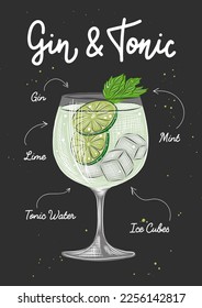 Vector engraved style Gin and Tonic cocktail illustration for posters, decoration, logo, menu and print. Hand drawn sketch with lettering and recipe, beverage ingredients. Detailed colorful drawing.