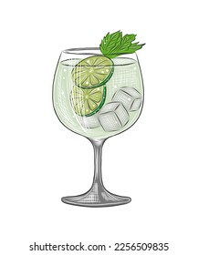 Vector engraved style Gin Tonic alcoholic cocktail illustration for posters, decoration, menu and print. Hand drawn sketch of drink or beverage. Detailed drawing isolated on white background.