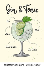 Vector engraved style Gin and Tonic cocktail illustration for posters, decoration, logo, menu and print. Hand drawn sketch with lettering and recipe, beverage ingredients. Detailed colorful drawing.