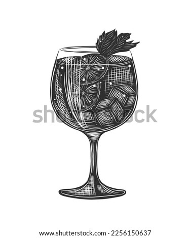 Vector engraved style Gin Tonic alcoholic cocktail illustration for posters, decoration, menu and print. Hand drawn sketch of drink or beverage. Detailed drawing isolated on white background.