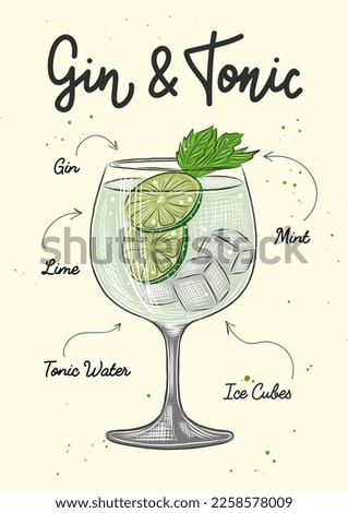 Vector engraved style Gin and Tonic cocktail illustration for posters, decoration, logo, menu and print. Hand drawn sketch with lettering and recipe, beverage ingredients. Detailed colorful drawing.