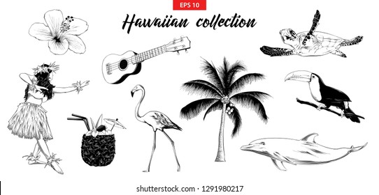 Vector engraved style illustration for logo, emblem, label or poster. Hand drawn sketch set of Hawaiian girl, ukulele guitar, etc. Isolated on white background. Detailed vintage doodle drawing. 