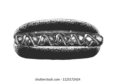 Vector engraved style illustration for posters, decoration and print. Hand drawn sketch of hot dog in monochrome isolated on white background. Detailed vintage woodcut style drawing.