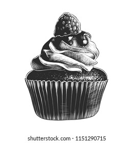 Vector engraved style illustration for posters, decoration and print. Hand drawn sketch of cupcake in monochrome isolated on white background. Detailed vintage woodcut style drawing.