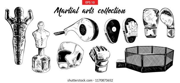 Vector engraved style illustration for posters, decoration. Hand drawn sketch of mixed martial arts and boxing set isolated on white background. Detailed vintage etching drawing.