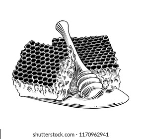 Vector engraved style illustration for posters, decoration and print. Hand drawn sketch of honeycomb with wooden dipper in black isolated on white background. Detailed vintage etching style drawing.