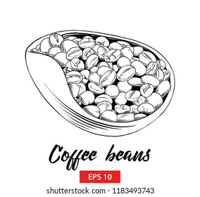 Vector engraved style illustration for posters, decoration and print. Hand drawn sketch of coffee beans in black isolated on white background. Detailed vintage etching style drawing.