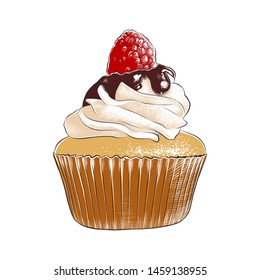 Vector engraved style illustration for posters, decoration, menu, logo, packaging and print. Hand drawn sketch of colorful cupcake isolated on white background. Detailed vintage woodcut style drawing.