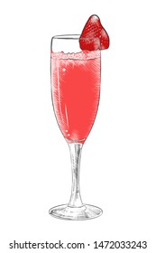 Vector engraved style illustration for posters, decoration, menu, logo and print. Hand drawn sketch of champagne with strawberry, colorful isolated on white background. Detailed vintage woodcut style
