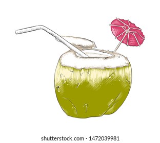 Vector engraved style illustration for posters, decoration, menu, logo and print. Hand drawn sketch of summer coconut cocktail, colorful isolated on white background. Detailed vintage woodcut style 