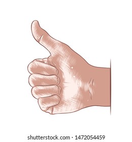 Vector engraved style illustration for posters, decoration, logo and print. Hand drawn sketch of hand like in colorful isolated on white background. Detailed vintage woodcut or linocut style drawing. 