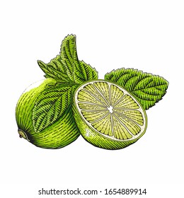 Vector engraved style illustration for posters, decoration and print. Hand drawn etching sketch of passion fruit in colorful. Detailed vegetarian food linocut drawing. Scratch board imitation.