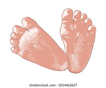 Vector engraved style illustration for posters, decoration and print. Hand drawn sketch of newborn baby foots print isolated on white background. Detailed vintage etching style drawing.